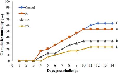 The Combined Use of Pediococcus pentosaceus and Fructooligosaccharide Improves Growth Performance, Immune Response, and Resistance of Whiteleg Shrimp Litopenaeus vannamei Against Vibrio parahaemolyticus